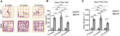 Enhanced Glial Reaction and Altered Neuronal Nitric Oxide Synthase are Implicated in Attention Deficit Hyperactivity Disorder